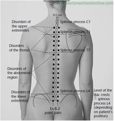 Back-view illustration of paired Hua Tuo Jia Ji acupuncture points alongside the spine
